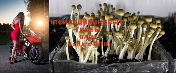 мдпв Абинск