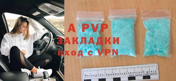 apvp Алзамай