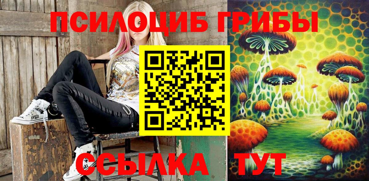 Раменское  Псилоцибиновые грибы Magic Shrooms  Вход с VPN  Псилоцибиновые грибы Cubensis 